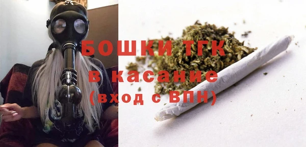 ешки Алексин