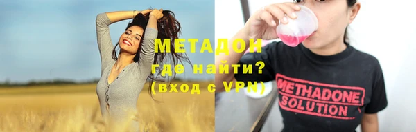 индика Алзамай