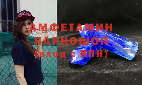 индика Алзамай