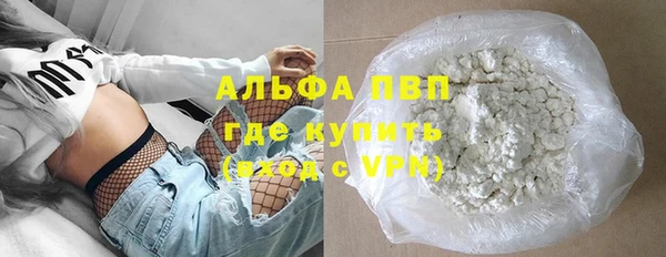 индика Алзамай