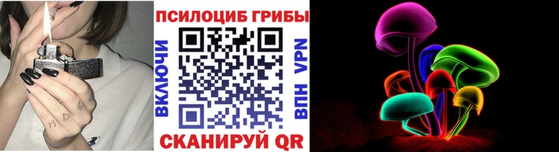 Псилоцибиновые грибы Magic Shrooms  Купить закладки  Белебей 